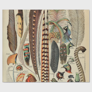 Feather Bird Wildlife Antique Feathers Wrapping Paper
