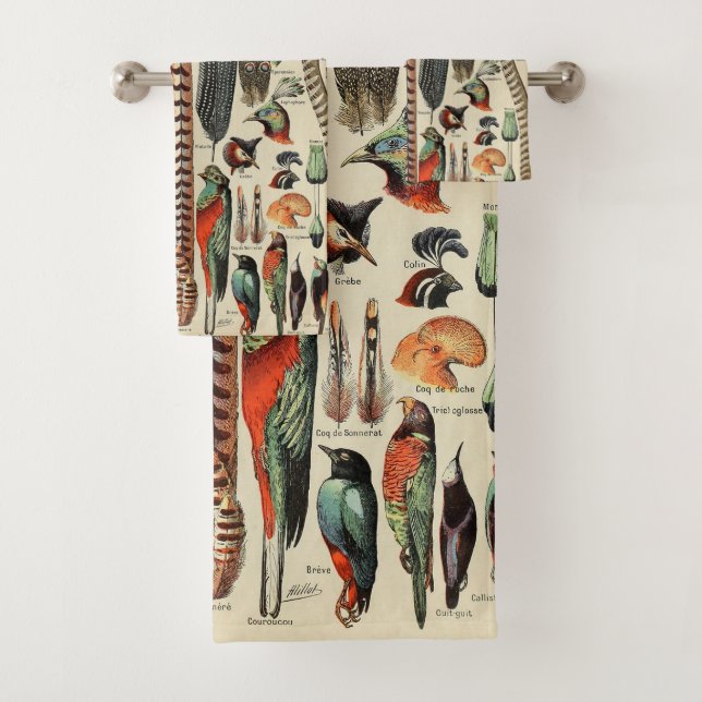 Feather Bird Wildlife Plumes d'antiquités (En situation)