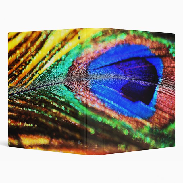 Feather by Shirley Taylor Binder (Background)