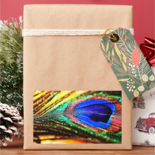 Feather by Shirley Taylor Sticker