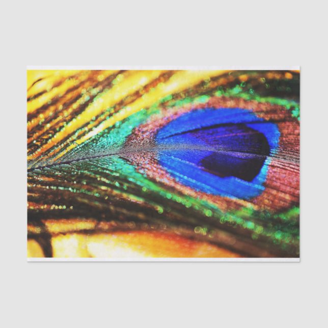 Feather by Shirley Taylor Tissue Paper (Front)