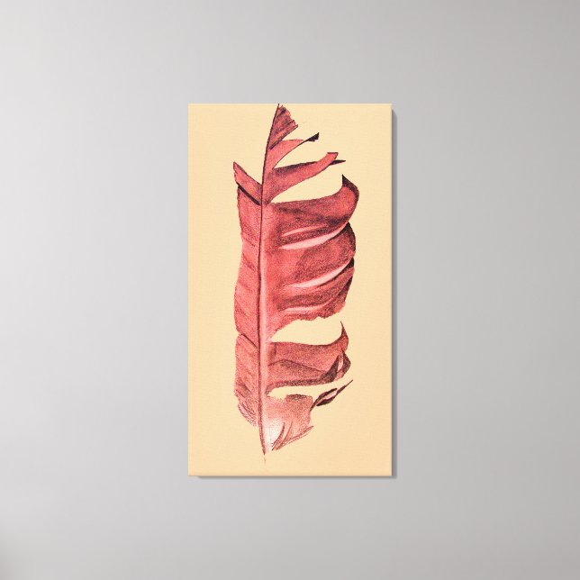 Feather drawing fine art original illustration canvas print (Front)