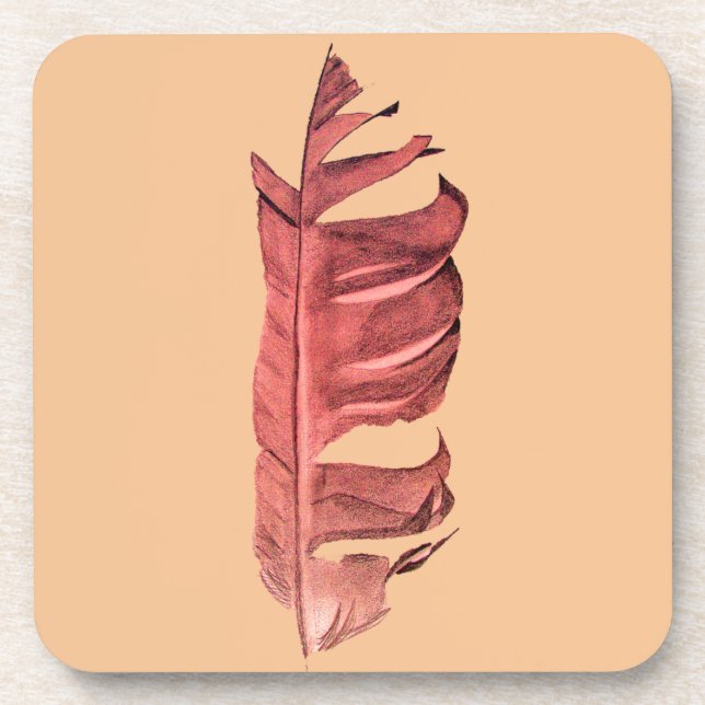Feather drawing fine art original illustration coaster (Front)