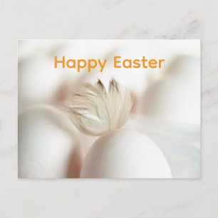 Feather Graphic Postcard