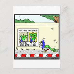 Feather Implants Postcard