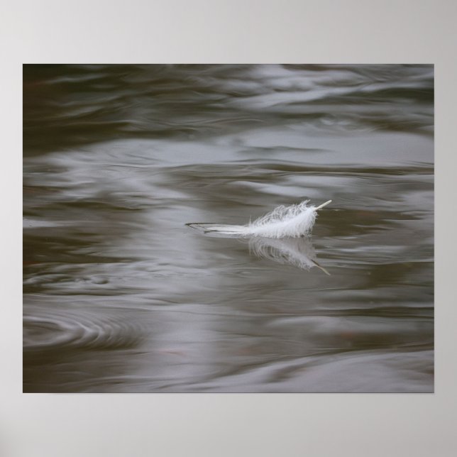 feather on the water poster (Front)