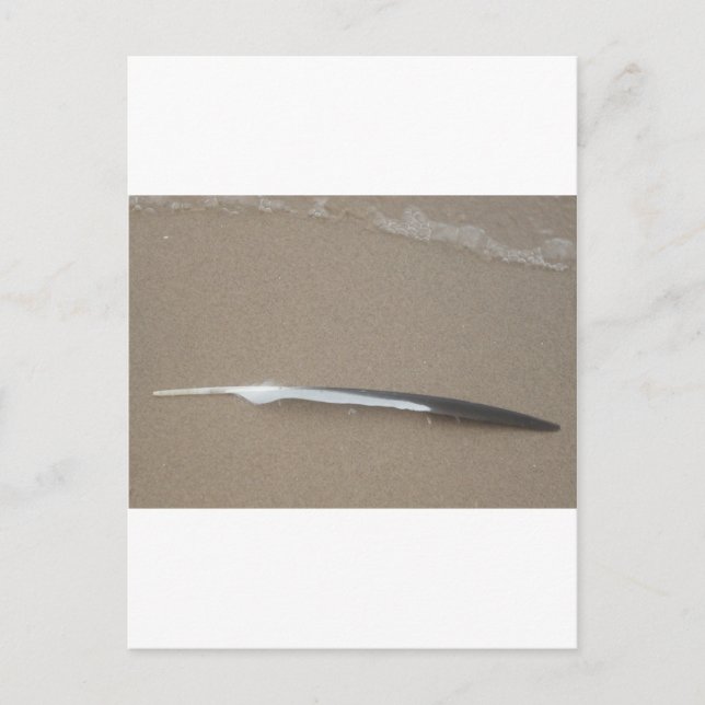Feather Postcard (Front)