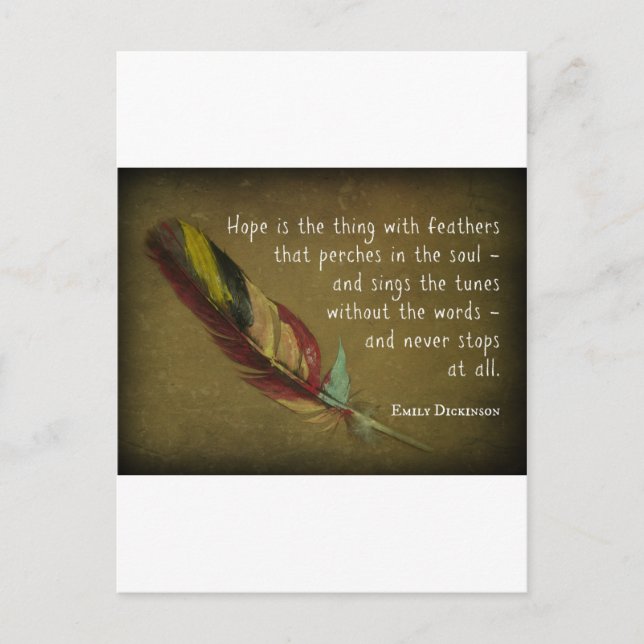 Feather Postcard (Front)