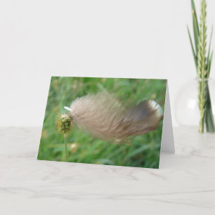 Feather Stuck On Grass Card