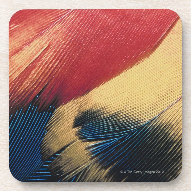 Feather surface 3 coaster (Front)