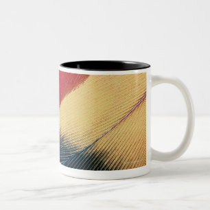 Feather surface 3 Two-Tone coffee mug