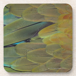 Feather surface coaster