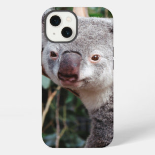 Featherdale Wildlife Park, Koala Bears iPhone 13 Case
