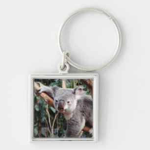 Featherdale Wildlife Park, Koala Bears Keychain