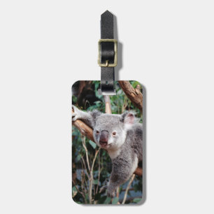 Featherdale Wildlife Park, Koala Bears Luggage Tag