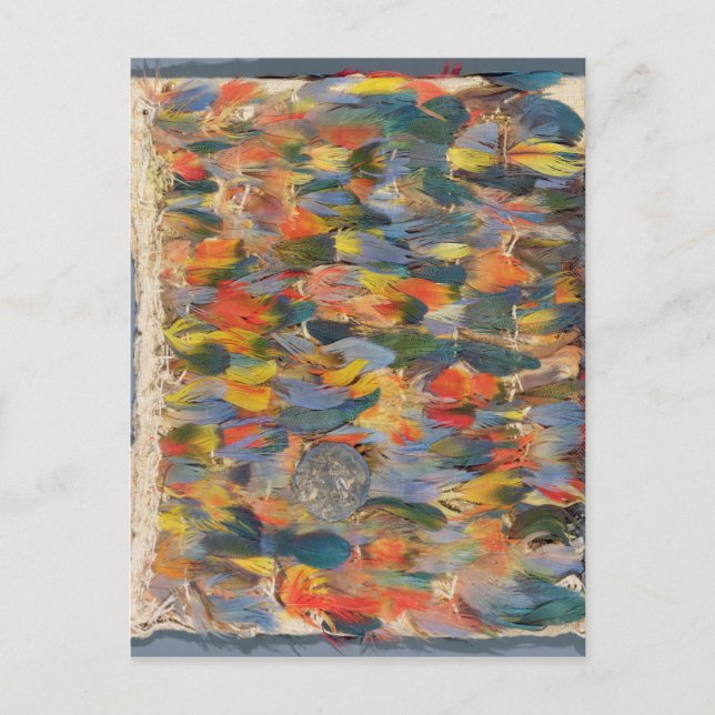 Feathered cape postcard (Front)