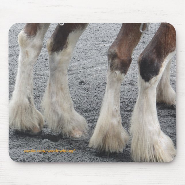 Feathered Feet Mouse Pad (Front)