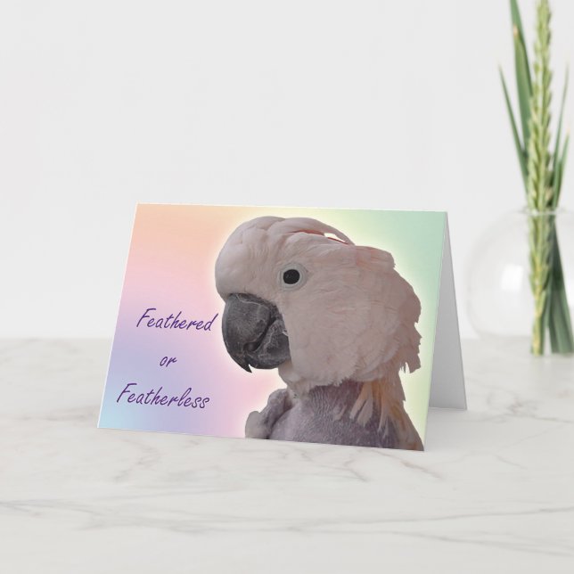 Featherless Card (Front)