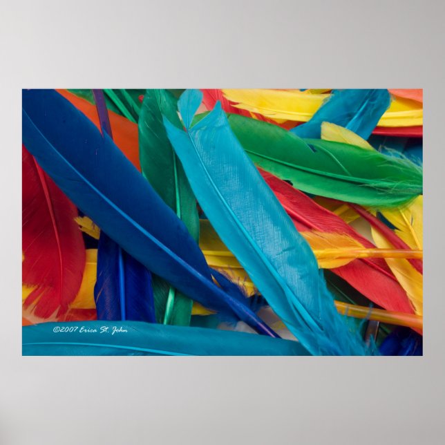 Featherly Poster (Front)