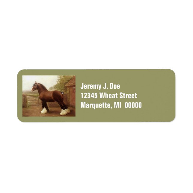 Feathers Clydesdale Draught Horse Address Labels (Front)
