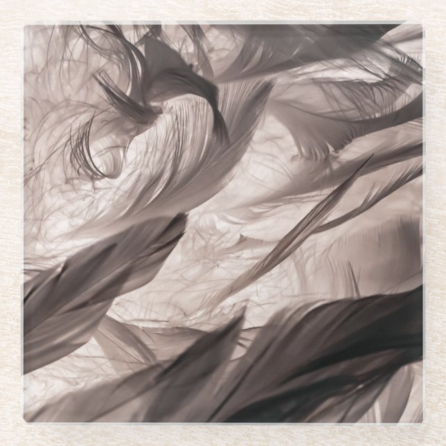 Feathers Glass Coaster (Front)