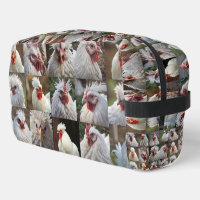 "Feathers in Focus: A White Chicken's Portrait"