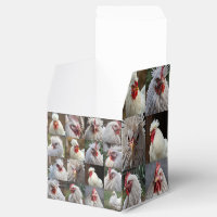 "Feathers in Focus: A White Chicken's Portrait"