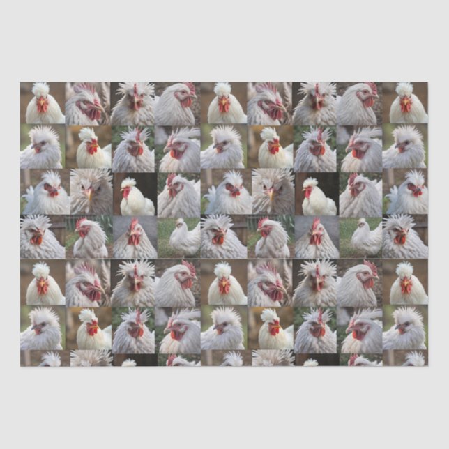 "Feathers in Focus: A White Chicken's Portrait" Tissue Paper (Front)