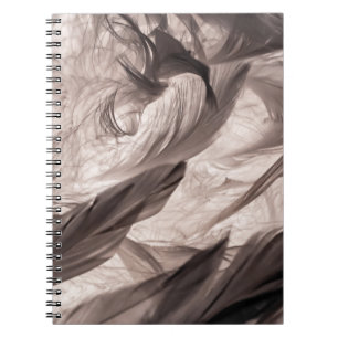 Feathers Notebook