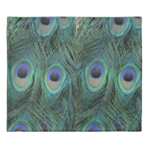 Feathers of A Peacock Lovely Green