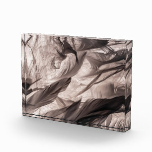 Feathers Photo Block