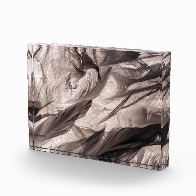 Feathers Photo Block (Right)