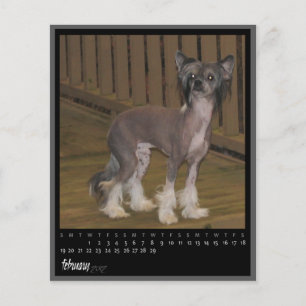 february 2012 calendar