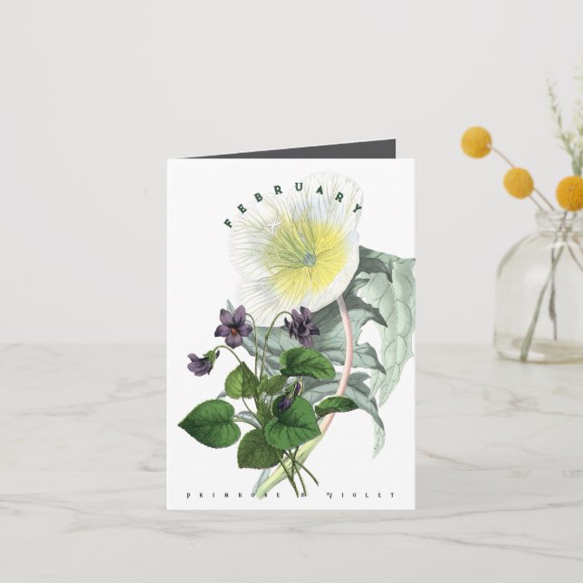 February Flowers Primrose and Violet Thank You Card (Front)