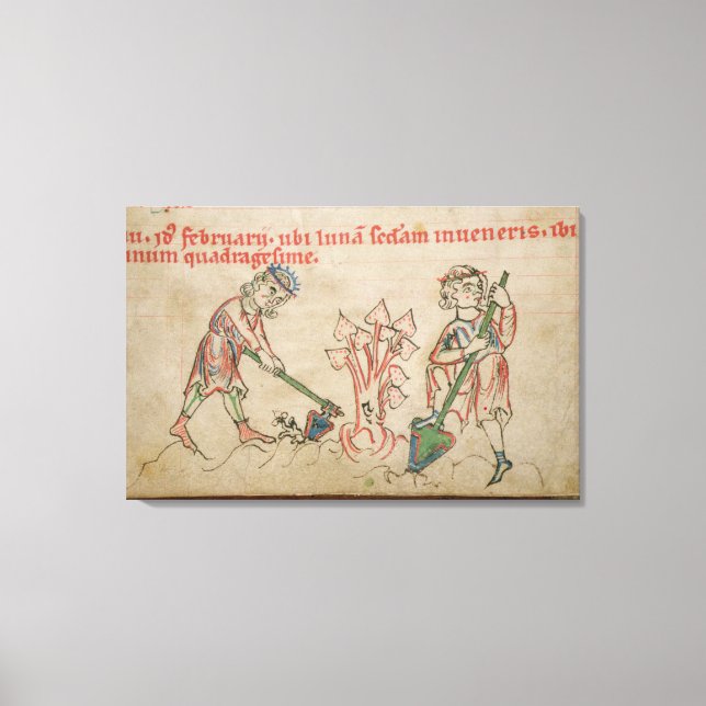 February: hoeing canvas print (Front)