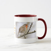February Robin