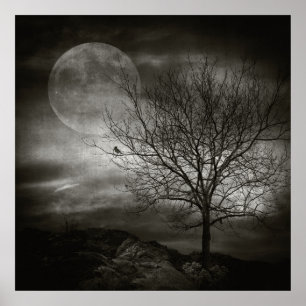 February Tree Poster