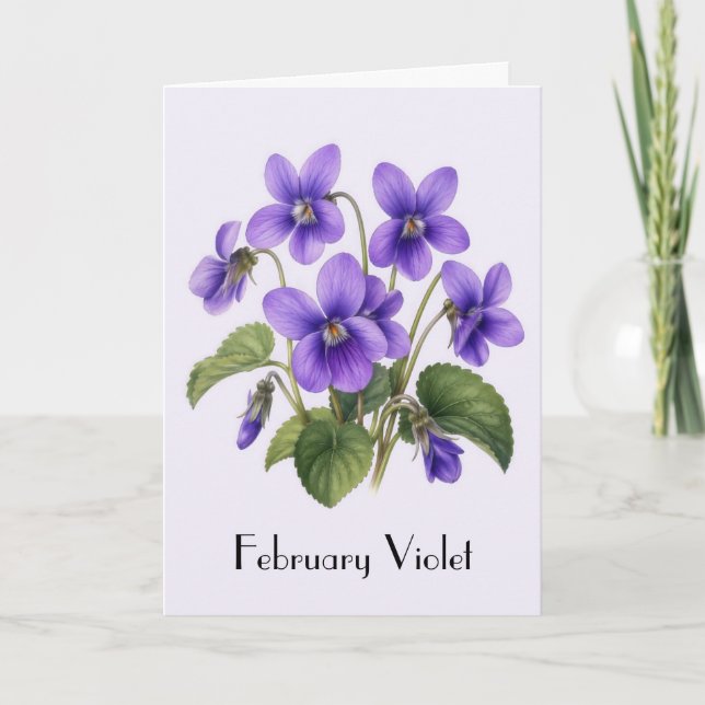 February Violet Flowers Greeting Card (Front)