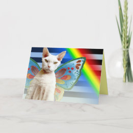 Fée Casper Rainbow | Carte d'anniversaire du chat 