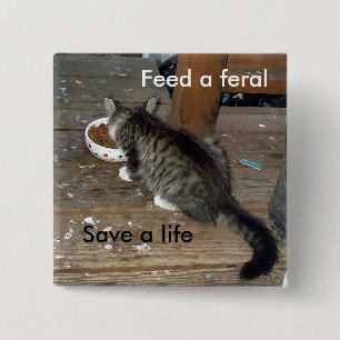 "Feed a Feral, Save a Life" feral kitten button