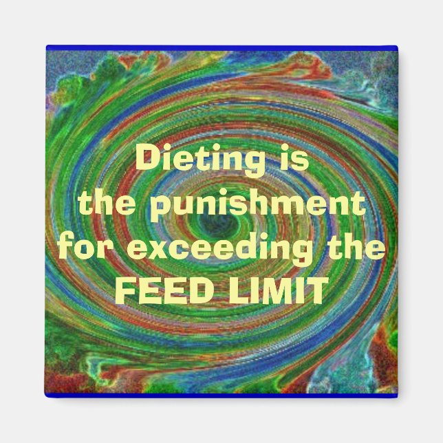 FEED LIMIT MAGNET (Front)