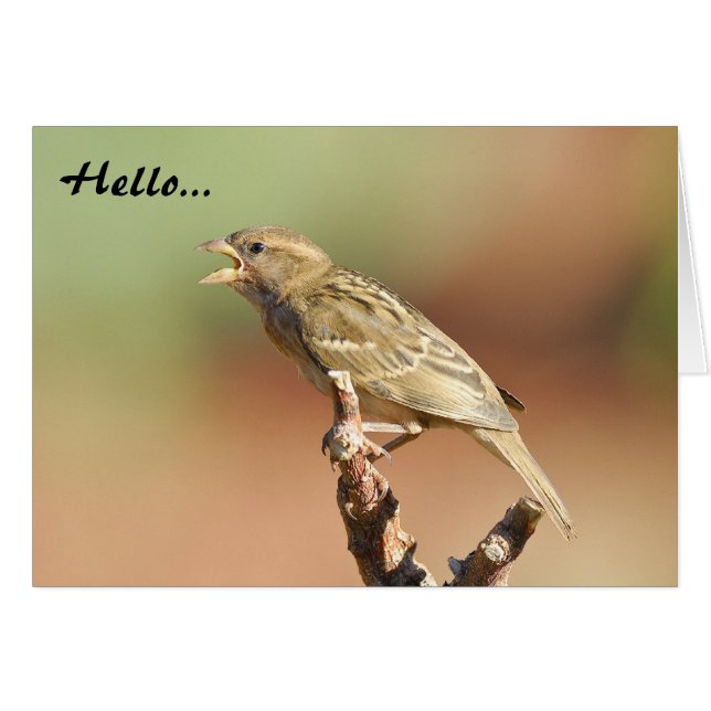 Feed Me! (Front Horizontal)