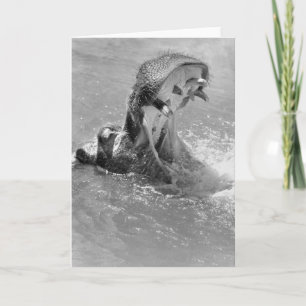 Feed Me Hippo Note Card