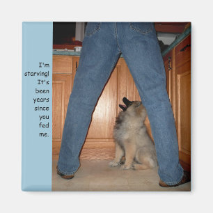 Feed the Starving Dog Magnet