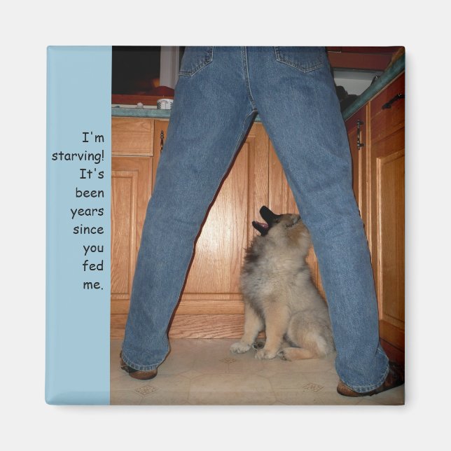 Feed the Starving Dog Magnet (Front)