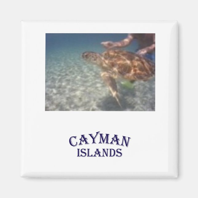 Feeding a turtle magnet (Front)