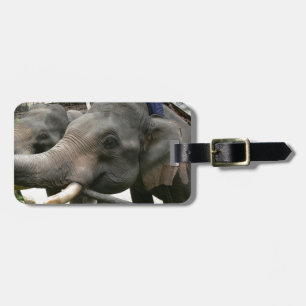 Feeding Asian Elephants Bananas in Thailand! Luggage Tag
