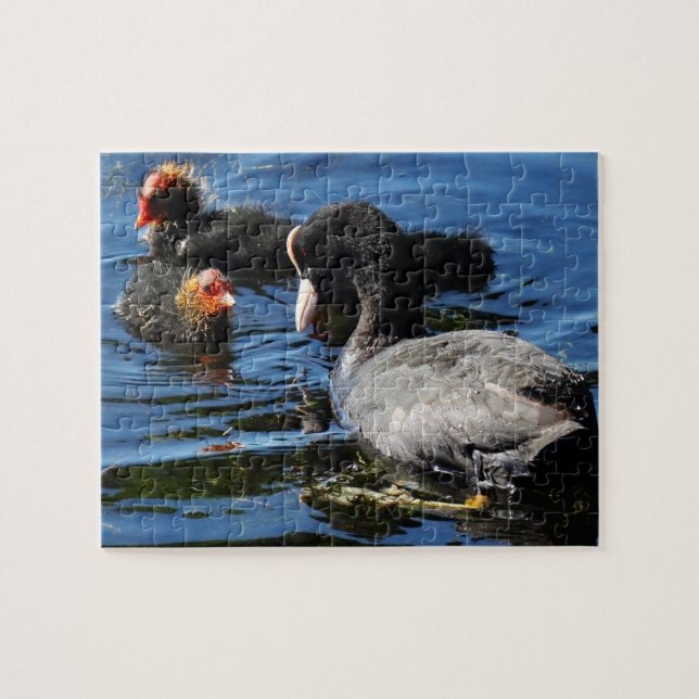 Feeding Babies Jigsaw Puzzle (Horizontal)