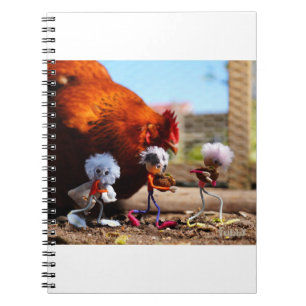 Feeding Fubby the chicken with walnut shells full  Notebook