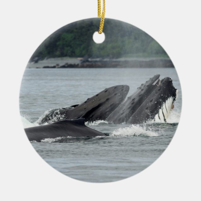 Feeding Humpback Whales Ceramic Ornament (Front)